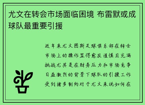 尤文在转会市场面临困境 布雷默或成球队最重要引援